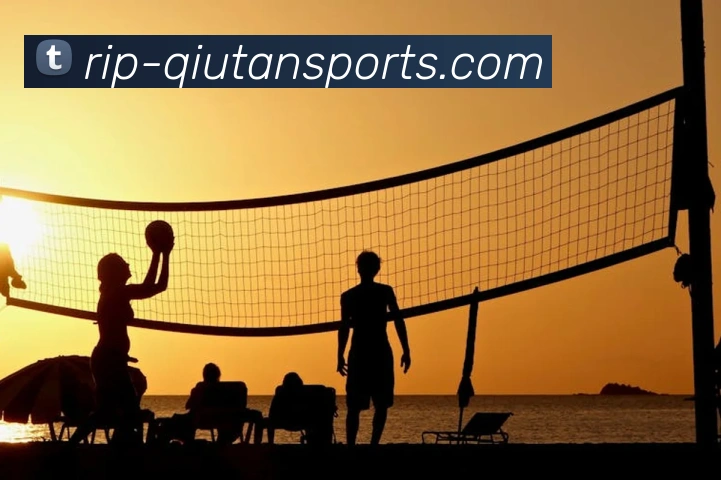 球探官网品牌故事