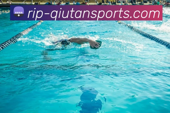 球探官网服务体系