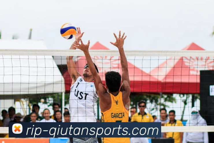 多媒体互动体验