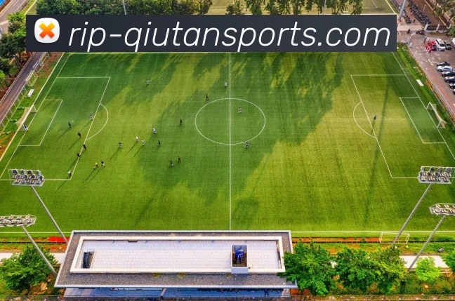 球探官网APP 体育赛事宣传图